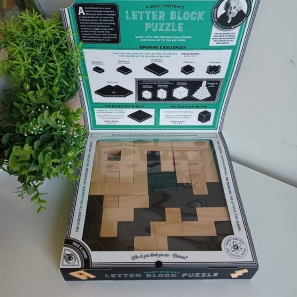 Professor Puzzle Einstein Collection Letter Blocks 3D Brain Teaser 12 Challenges - Picture 2 of 8